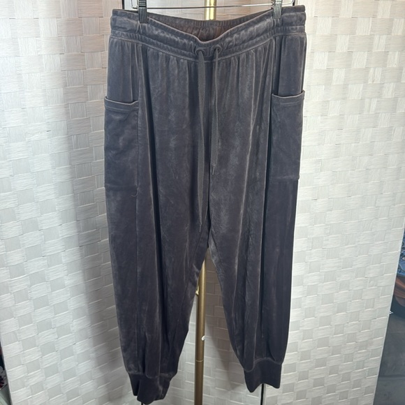 Offline By Aerie Velour Joggers - Picture 4 of 7